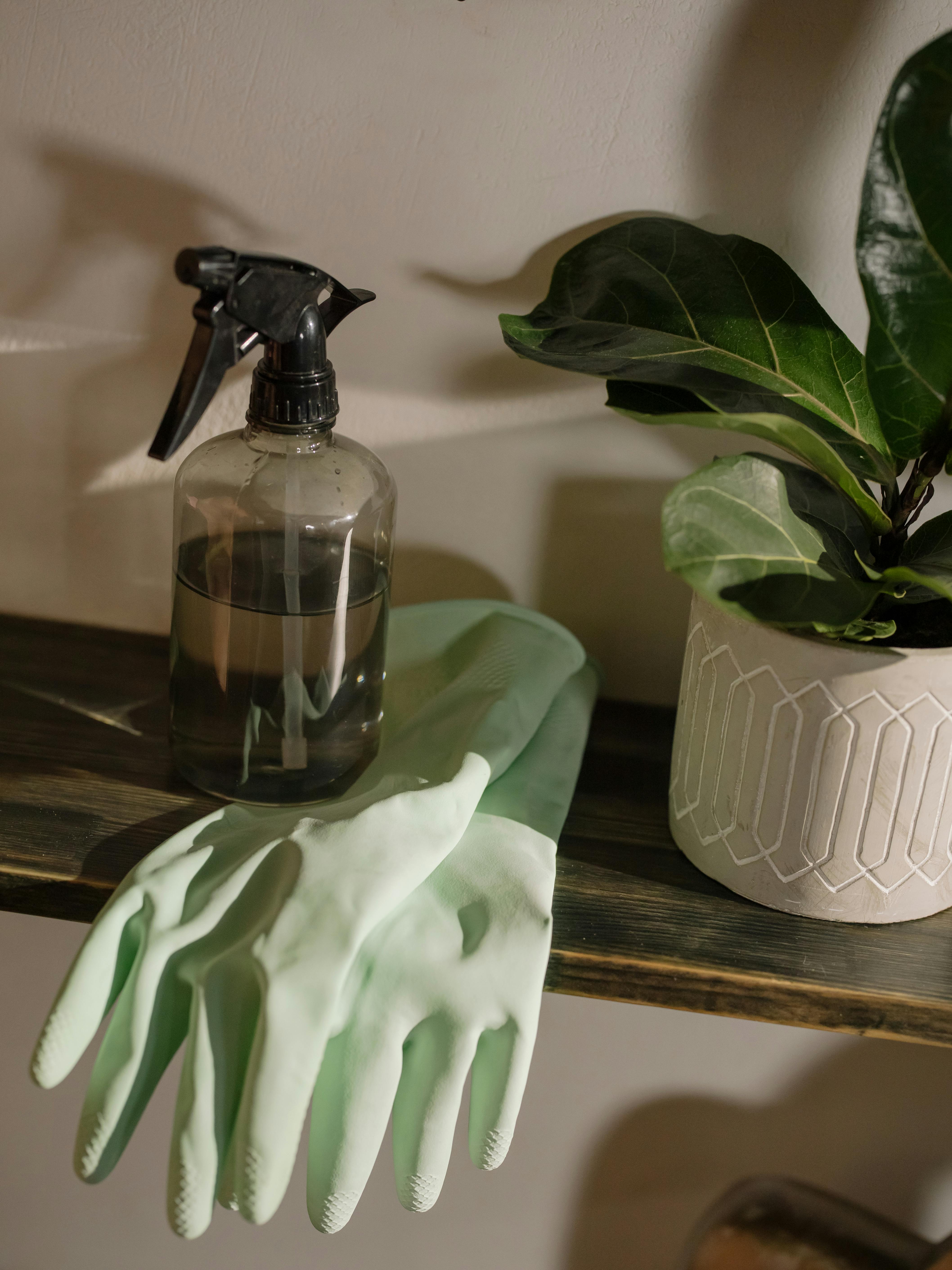 Everyday Home Edit collection