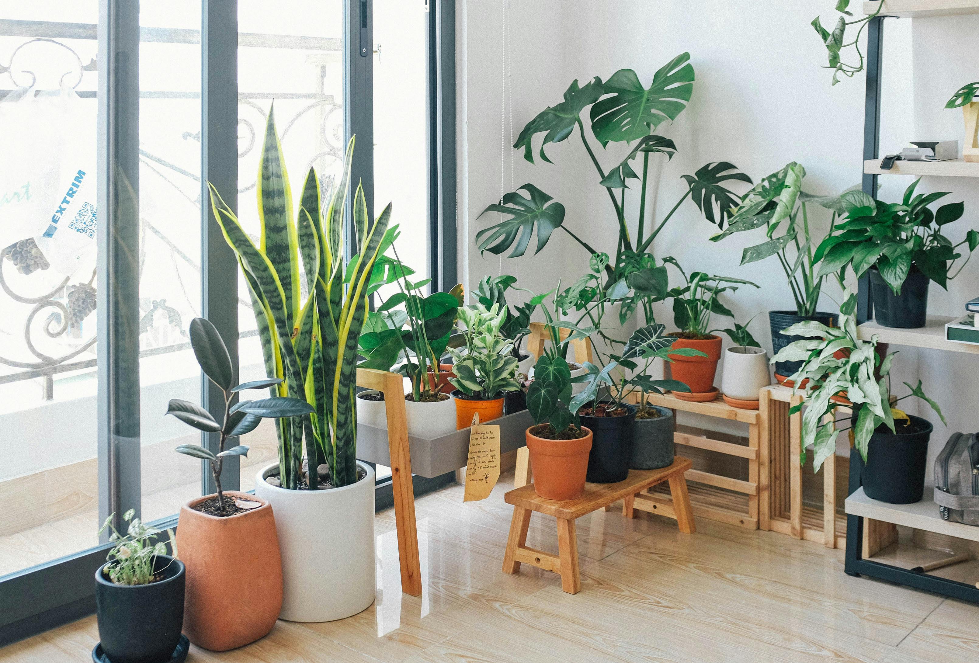 Indoor Planter Stand