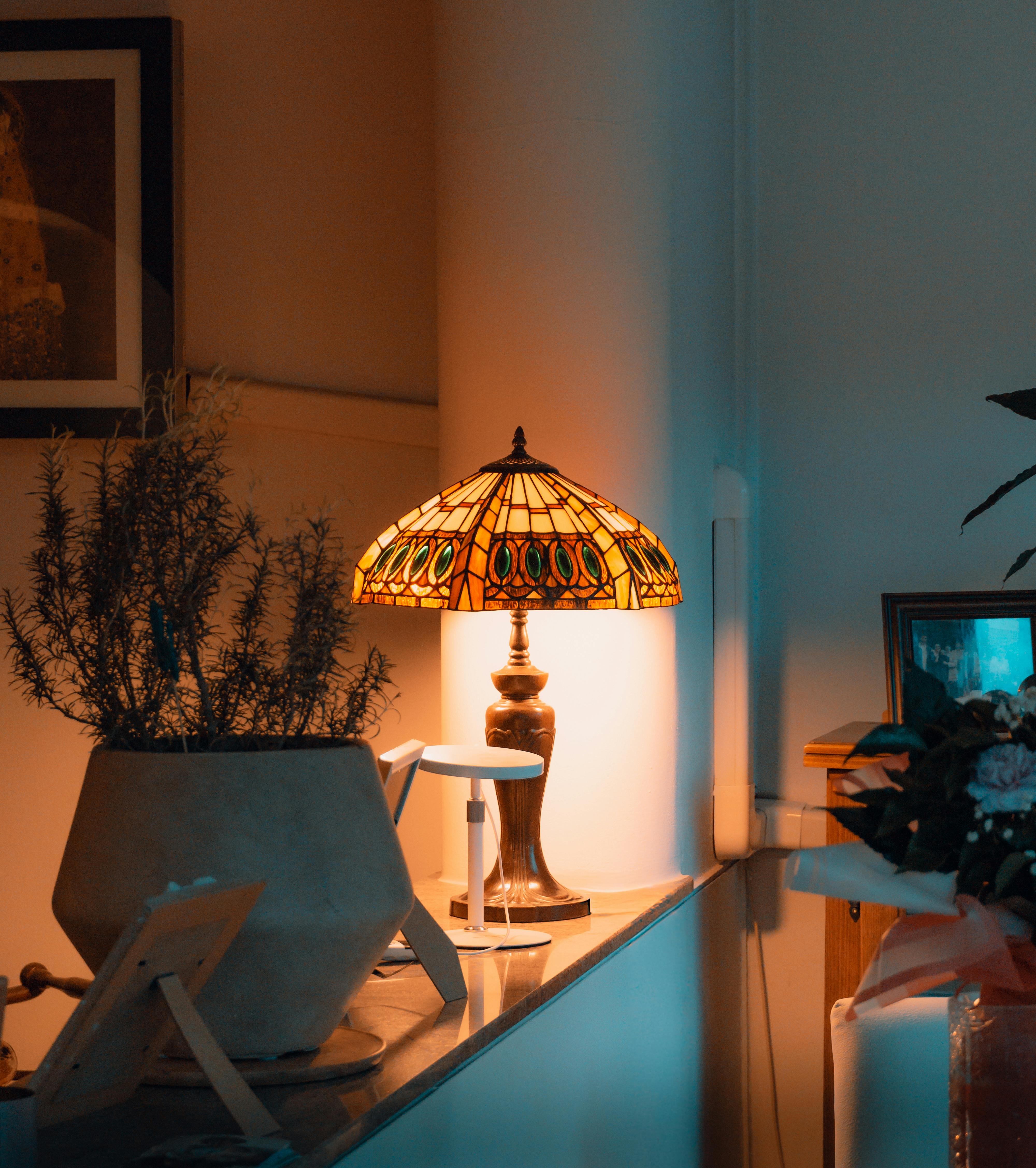 Bronze Desk Lamp